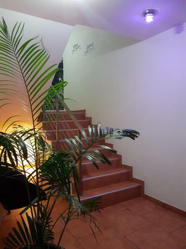 Beausejour Boutique Hotel
