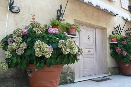 Hostal Guest House La Marignana
