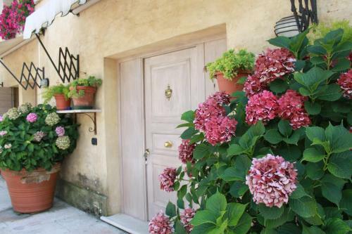 Hostal Guest House La Marignana