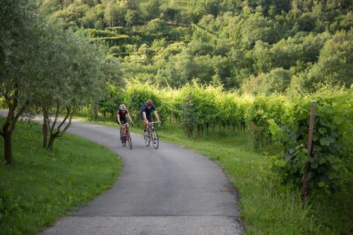 Agroturismo Relais D'arfanta