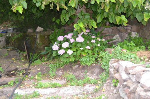 Bed & Breakfast Su Ghindalu Guesthouse