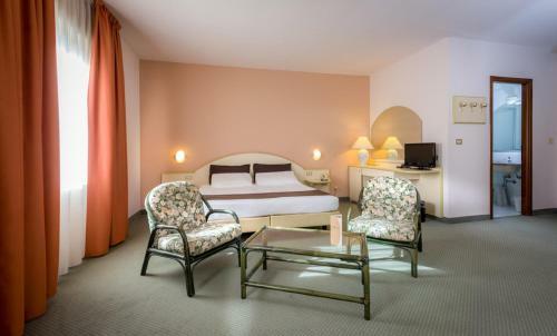 Hotel Des Alpes