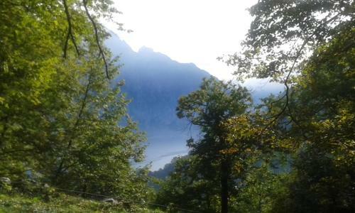 B&B L'isoletta