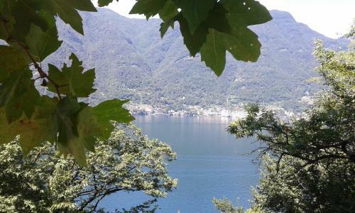 B&B L'isoletta