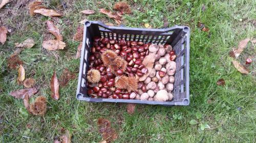 B&B L'isoletta