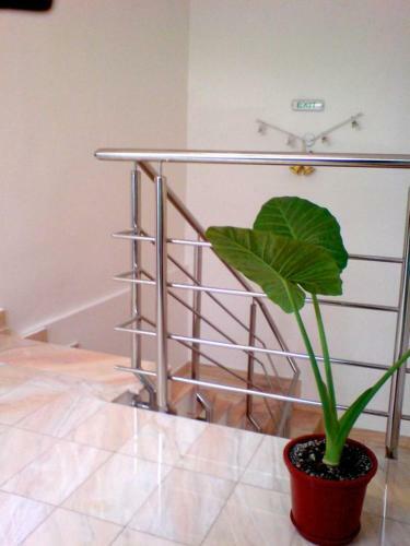 Hostal Noroc Si Fericire