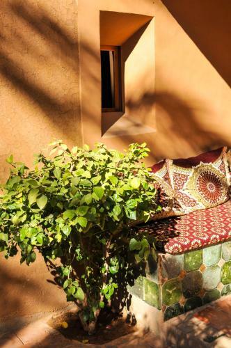 Hostal Dar Sofar