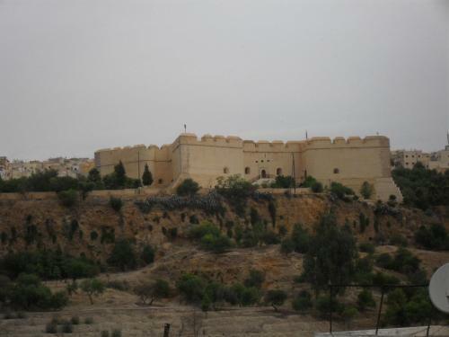 Riad Tayba