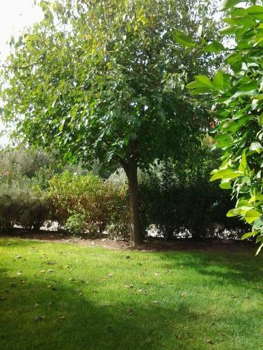 Apartamento Palmeraie Appartement