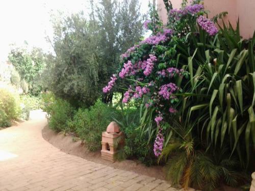 Apartamento Palmeraie Appartement
