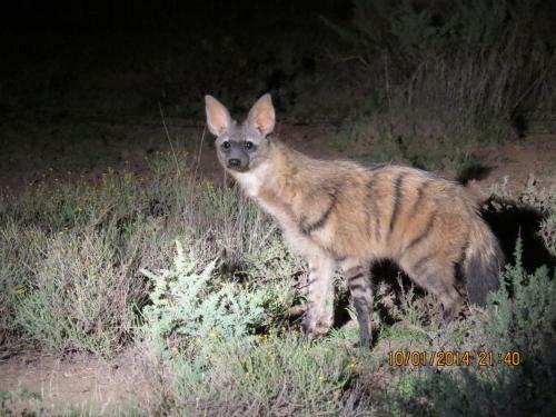 Karoo Gariep Tented Camp