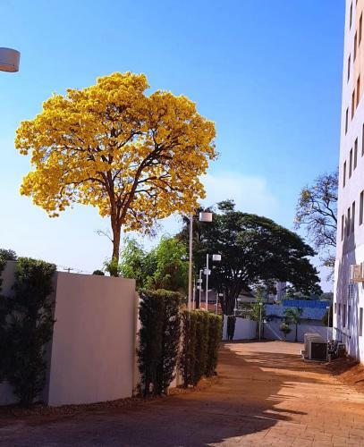 Hotel Ibis Sertaozinho