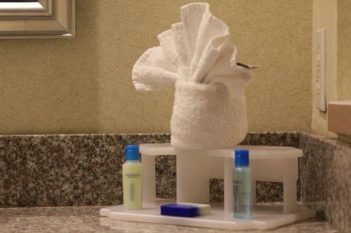 Hotel Best Western Plus Galleria Inn & Suites