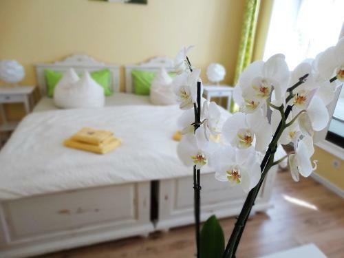 Hostal Pension Freiraum Berlin
