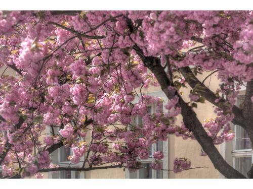 Hotel Am Gro�en Waisenhaus