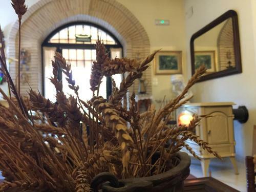 Bed & Breakfast Valencia Country House