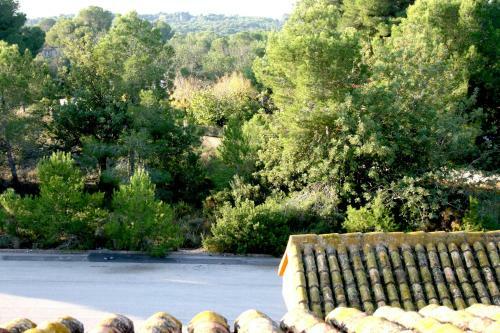 Bed & Breakfast Valencia Country House