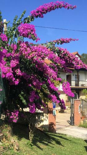 Bed & Breakfast El Rinc�n de Escalante
