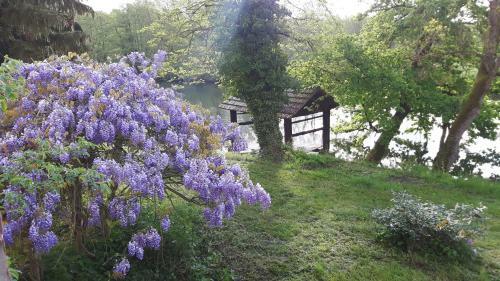 Hostal Ch�teau De Werde