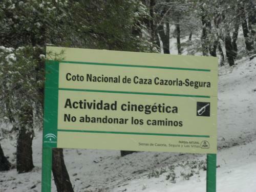 Caseria 7 Fuentes