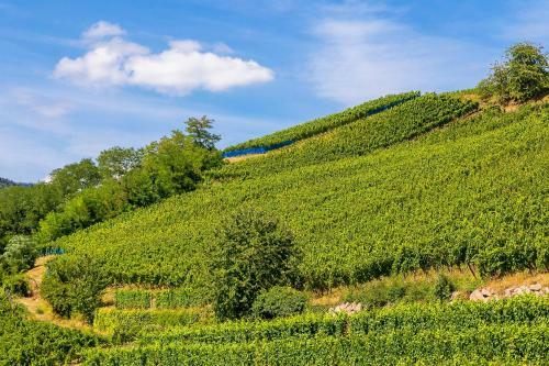 Best Western Hotel & Spa Le Schoenenbourg