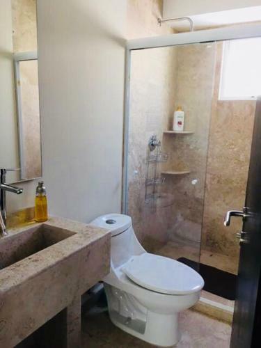 Apartamento Departamento En Acapulco Diamante