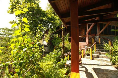 Hotel Aguila de Osa Rainforest Lodge