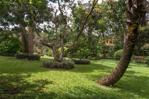 Bed & Breakfast La Terraza Guest House