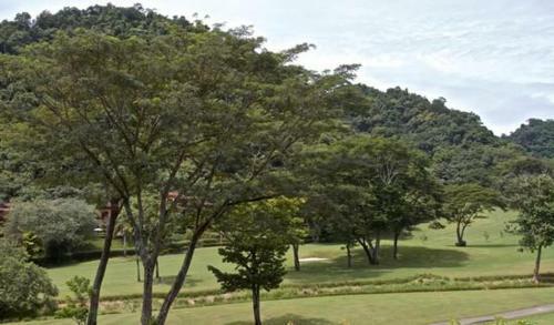 Los Suenos Resort Colina 14c