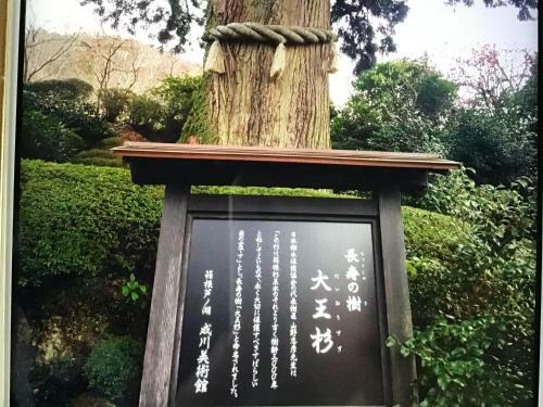 Hakone Miyagino House