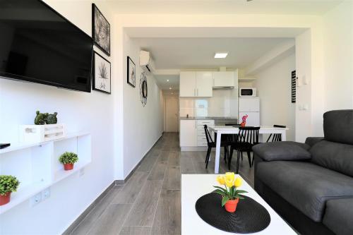 Apartamento Albatros 9-6