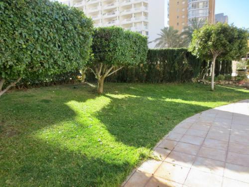 Apartamentos Apolo 16