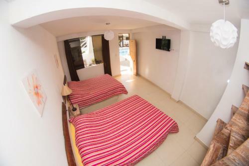 Hotel Carola Lodge