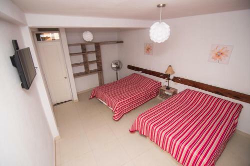Hotel Carola Lodge