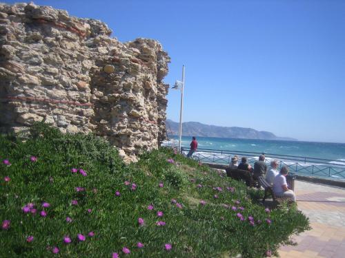 Apartamento Carabeo 2000 3.1