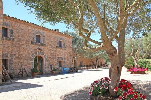 Agroturismo Finca Son Guardiola