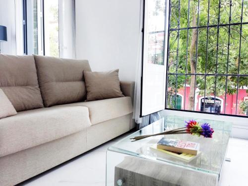 Apartamentos Adriano