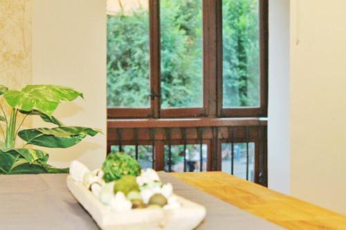 Apartamentos Toletvm