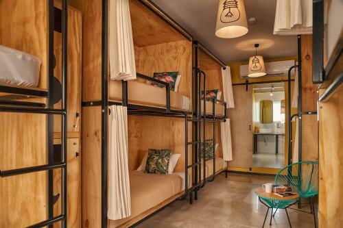 Mayan Monkey Hostel Cabo