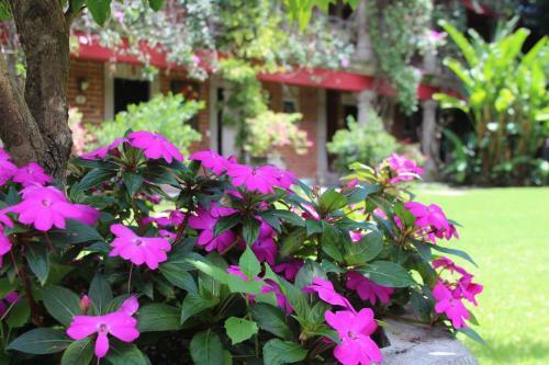 Hotel Las Calandrias