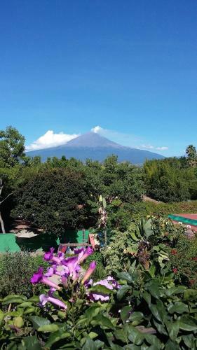 Hotel Las Calandrias