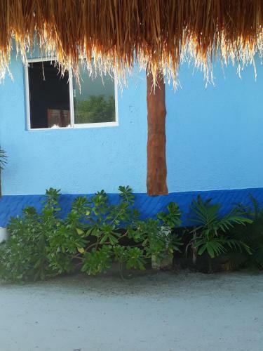 Hotel Cielito Holbox