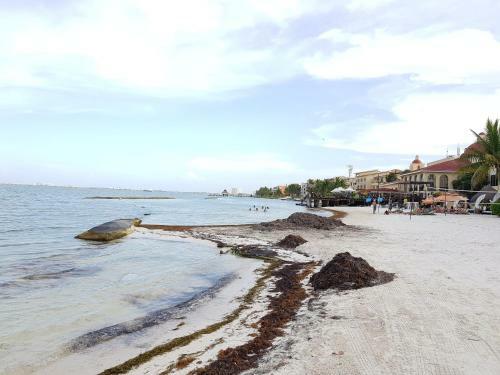 Apartamento Suite Frente Al Mar