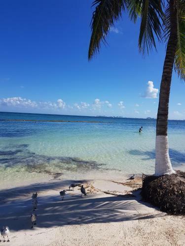 Apartamento Suite Frente Al Mar
