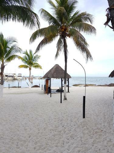 Apartamento Suite Frente Al Mar