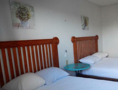 Hotel Blue Coconut Cancun