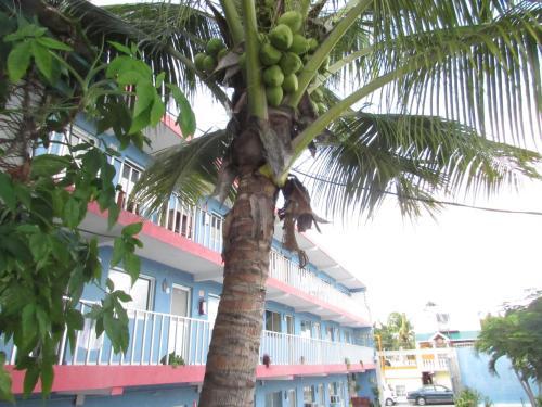 Hotel Blue Coconut Cancun