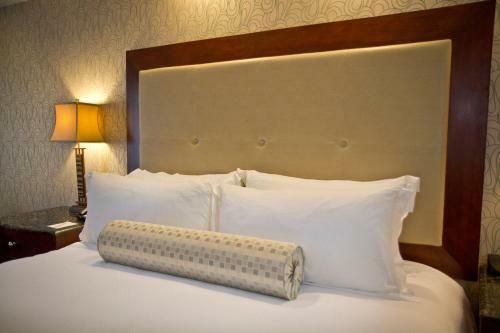 Hotel Town & Country Inn And Suites