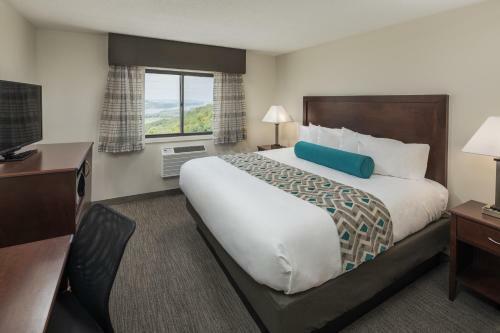 Hotel Chestnut Mountain Resort