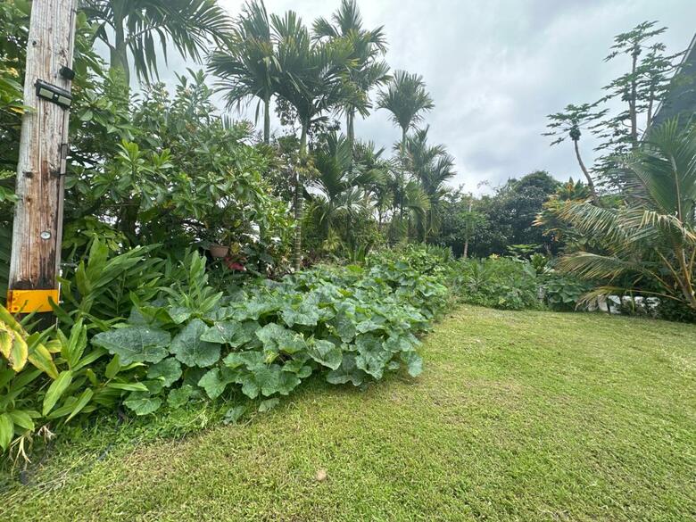Bed & Breakfast Hawaiian Ohana Home